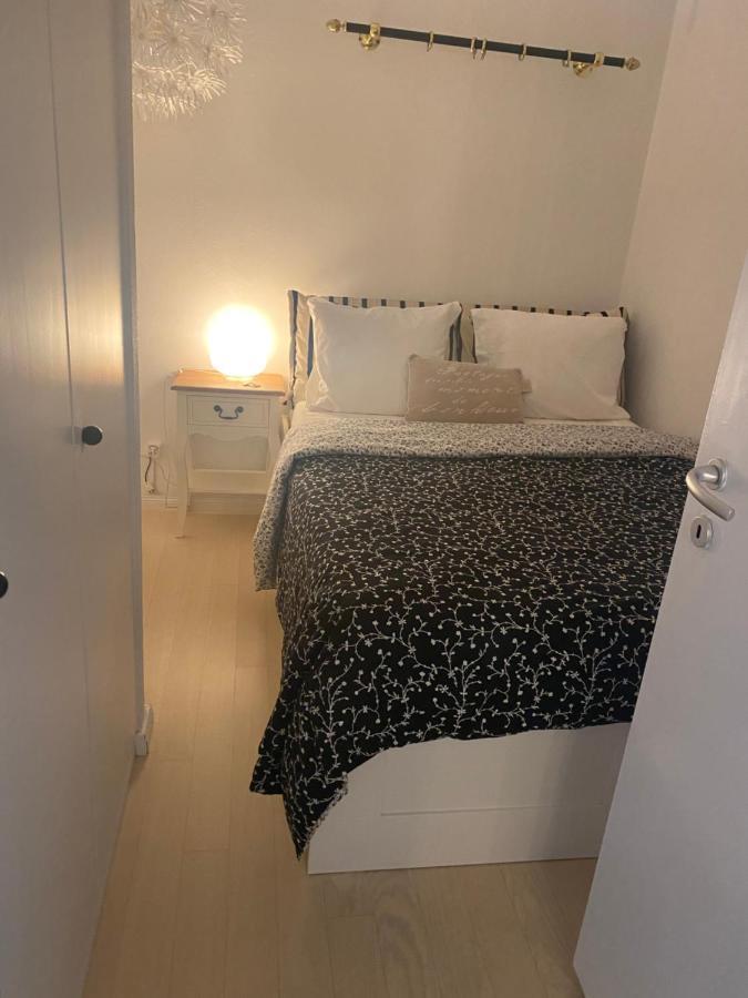 Apartamento Holiday On The Lake Lugano 2 Bissone Exterior foto